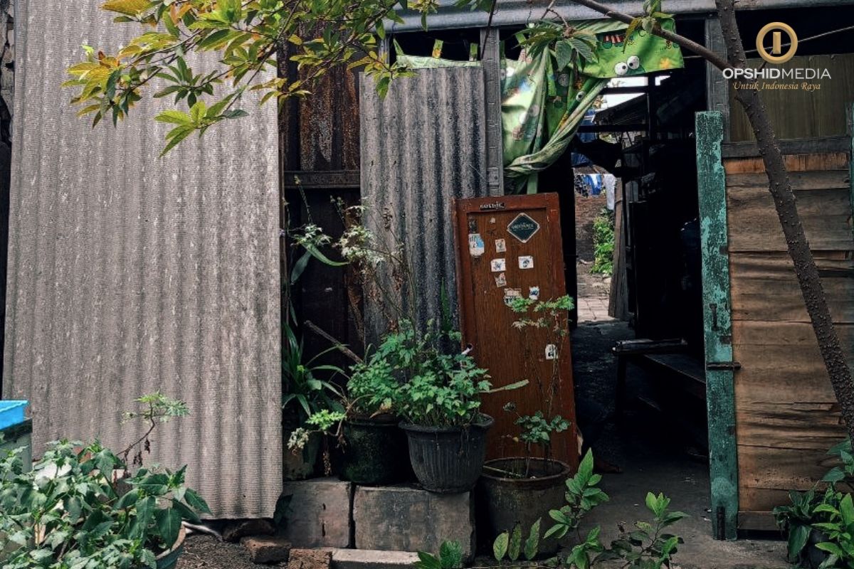 IMG_1348.jpeg (245 KB)