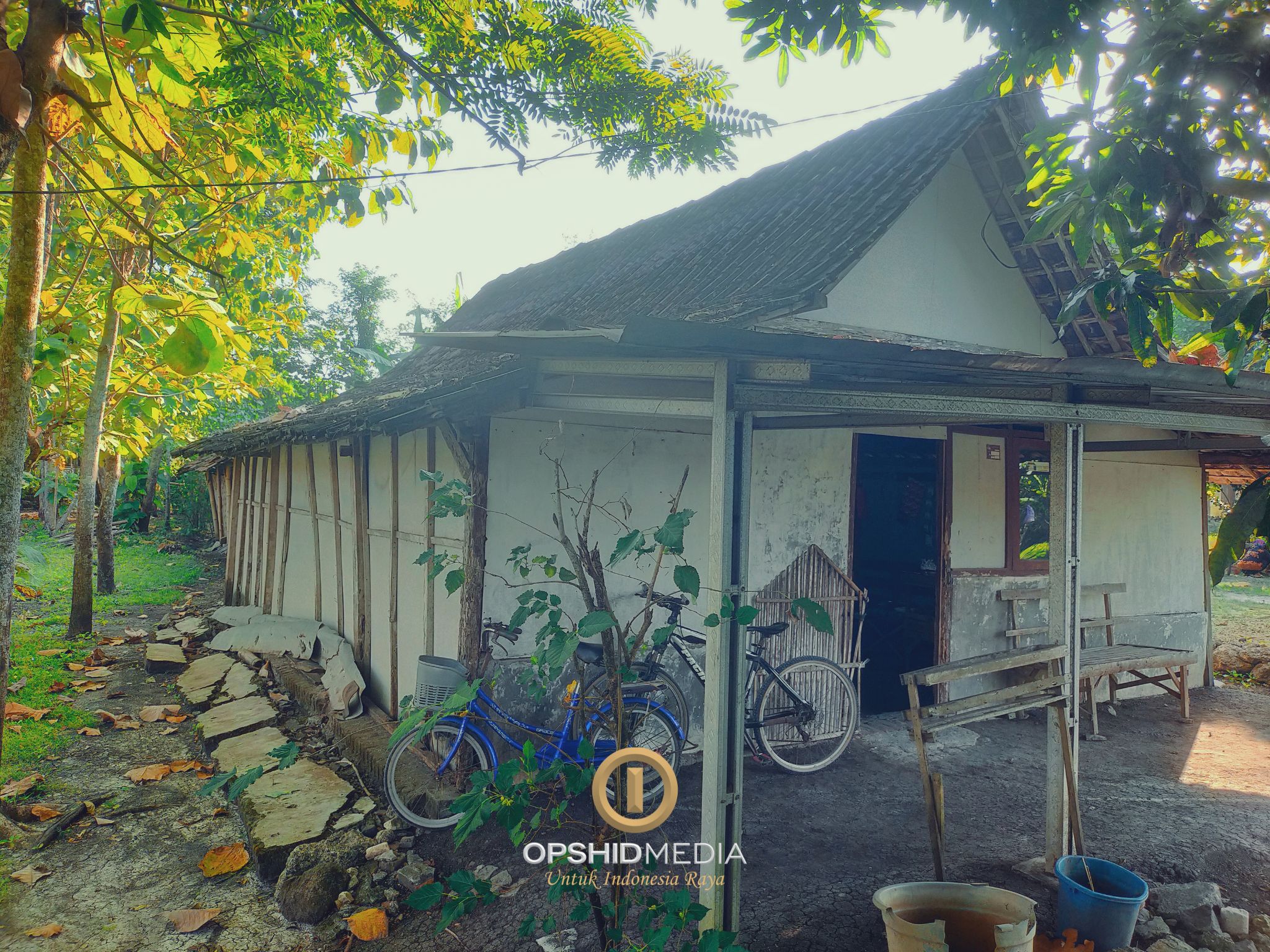 IMG_7679.jpeg (798 KB)